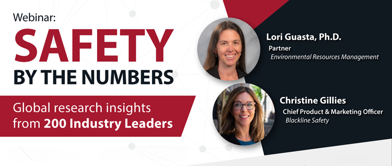 Lori Guasta y Christine Gillies presentan un seminario web titulado «La seguridad en cifras: conclusiones de un estudio global realizado entre 200 líderes del sector».