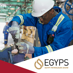 Imagen en miniatura de EGYPS