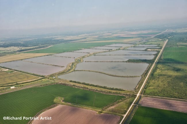 GCWA protege a sus trabajadores remotos del sector del agua utilizando dispositivos Blackline Safety.
