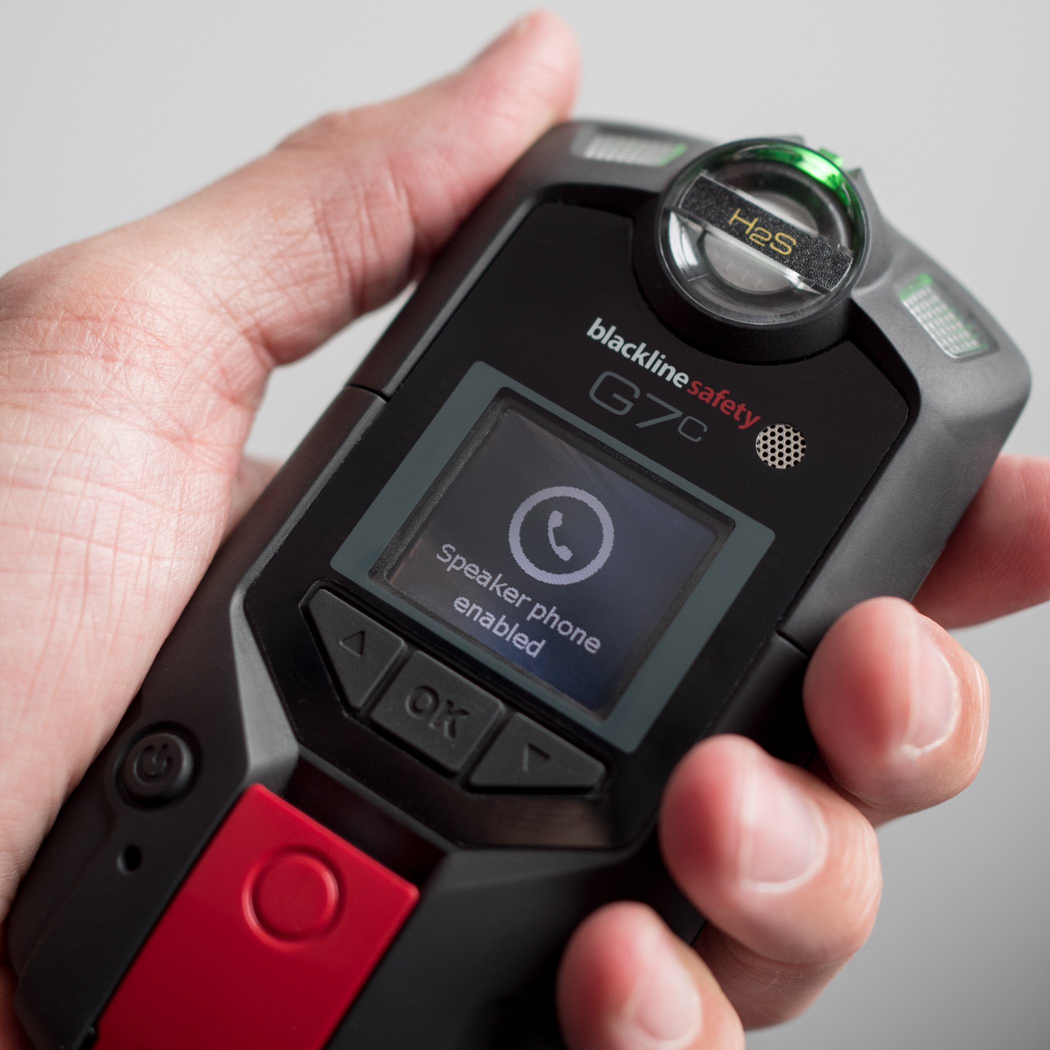 miniatura del libro blanco