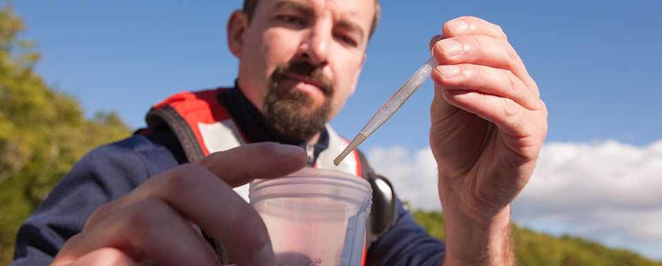 Imágenes del blog: medio ambiente