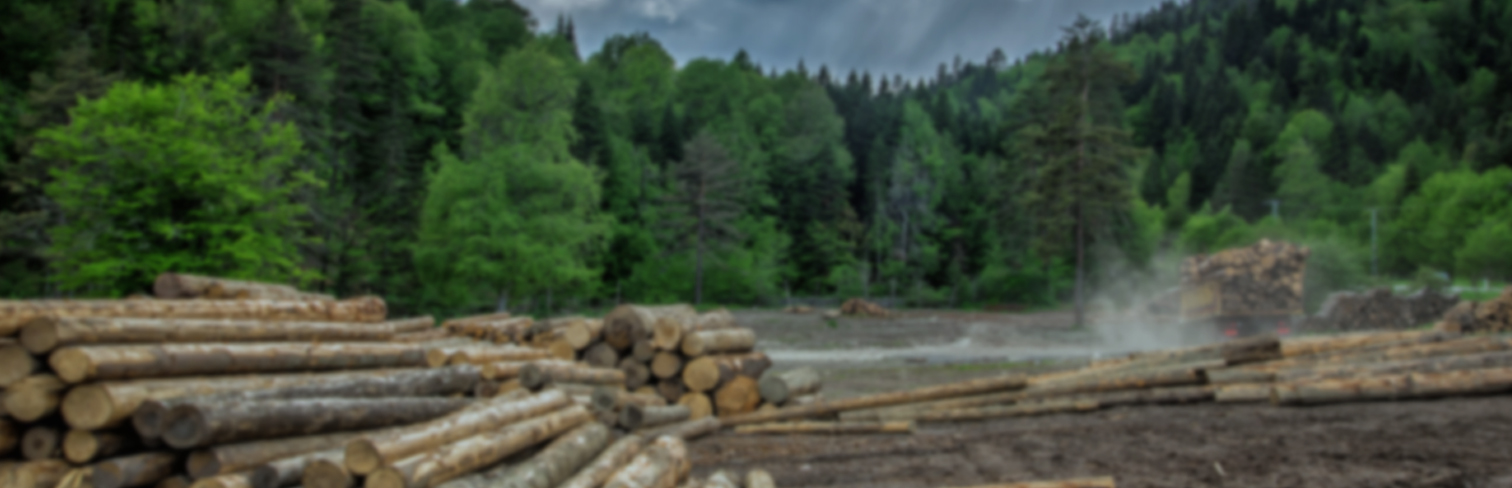 Inicio-Recursos-Banner