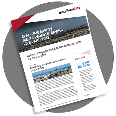 miniatura del libro blanco