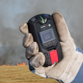 miniatura del libro blanco