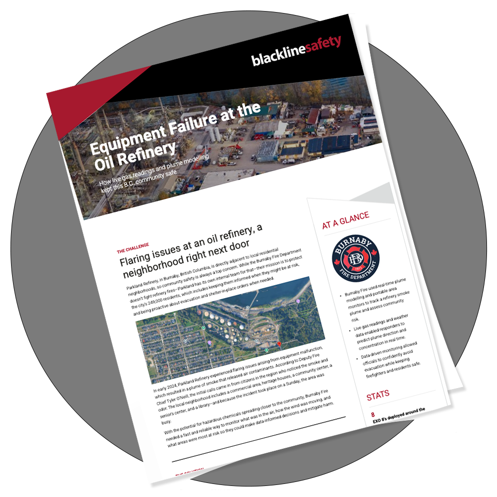 miniatura del libro blanco