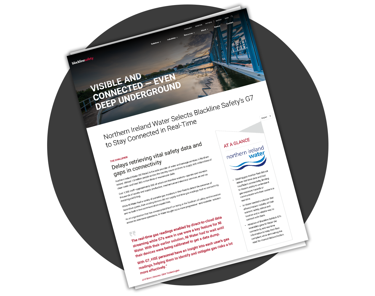 miniatura del libro blanco