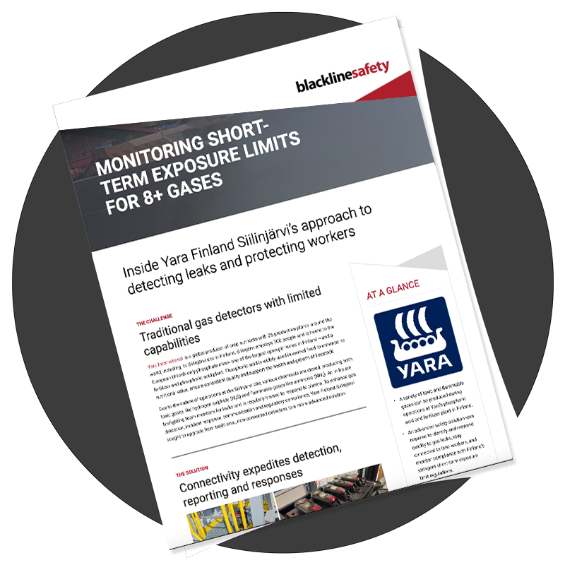 miniatura del libro blanco