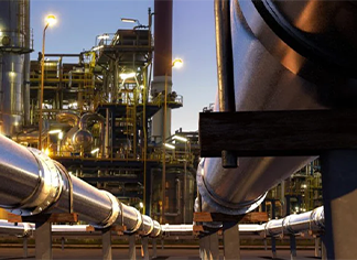 miniatura del libro blanco