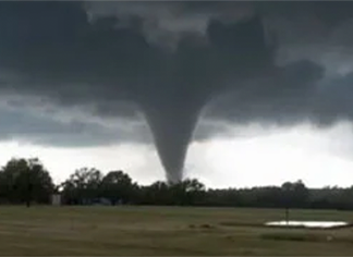 miniatura del libro blanco