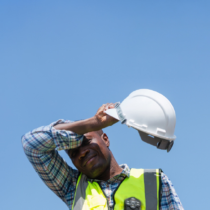miniatura del libro blanco
