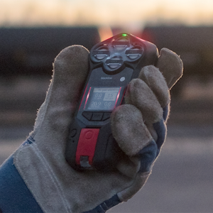 miniatura del libro blanco