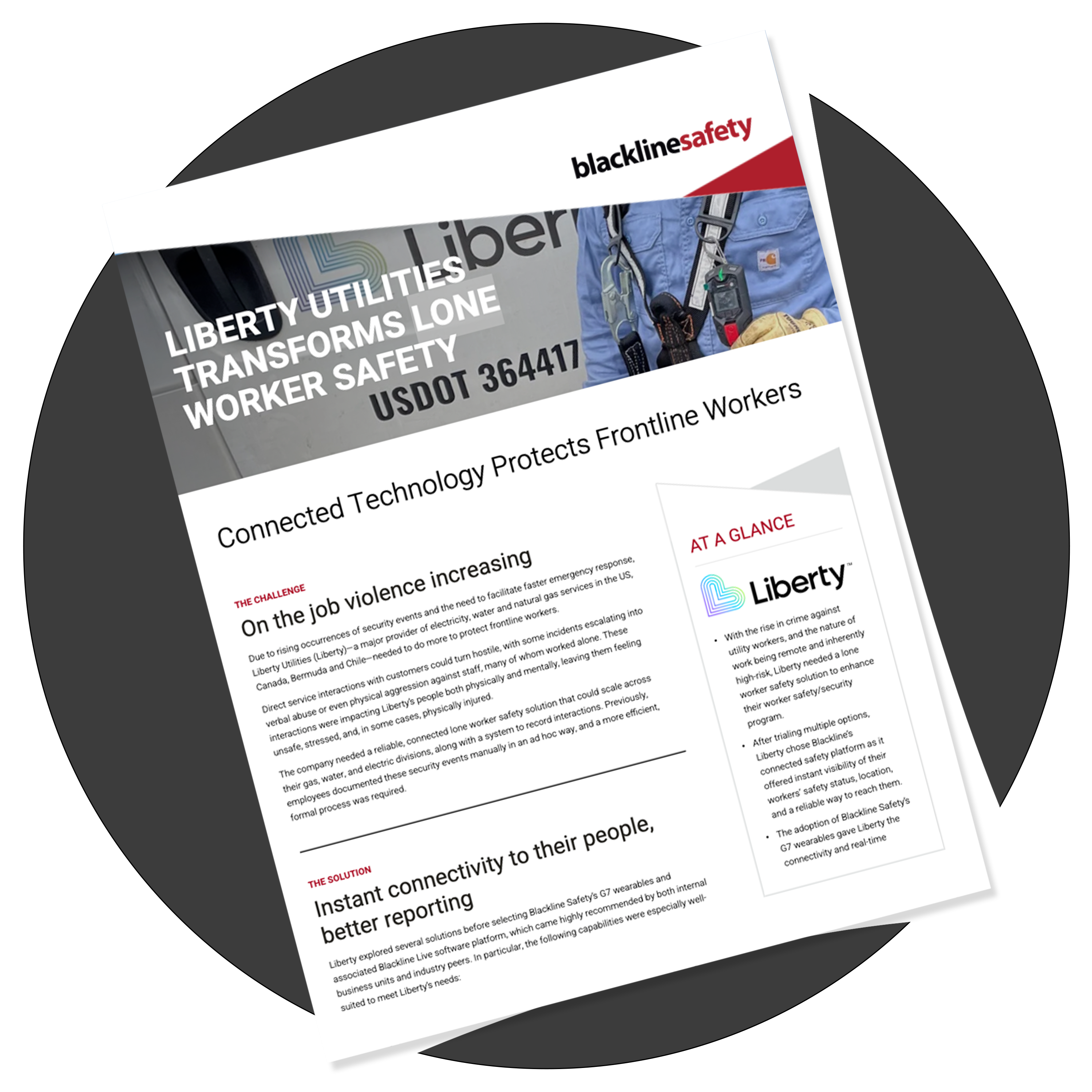 miniatura del libro blanco