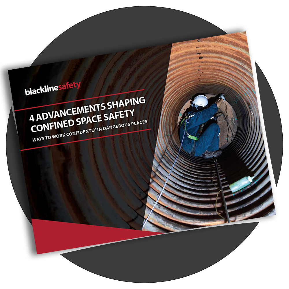 miniatura del libro blanco